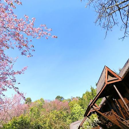 Angkhang Nature Resort Fang Экстерьер фото