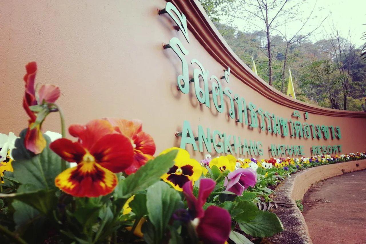Angkhang Nature Resort Fang Экстерьер фото