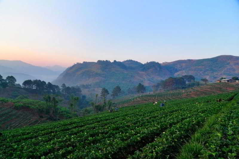 Angkhang Nature Resort Fang Экстерьер фото