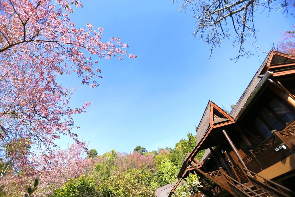 Angkhang Nature Resort Fang Экстерьер фото